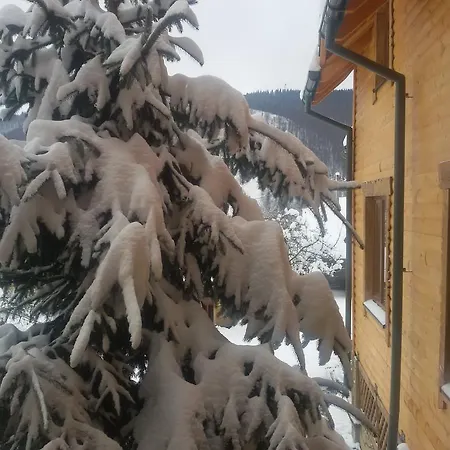 Zatishniy Dvir Yaremche